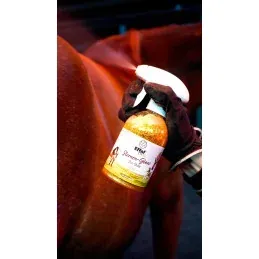 EFFOL KIDS STAR SHINE GOLD 300ML Acheter En Ligne