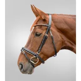 BRIDON STAR OR ROSE WALDHAUSEN - Poney Acheter Direct