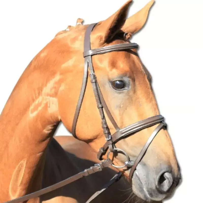 Prix Bas Bridon cheval Lifestyle cuir muserolle combine - Cheval - Noir