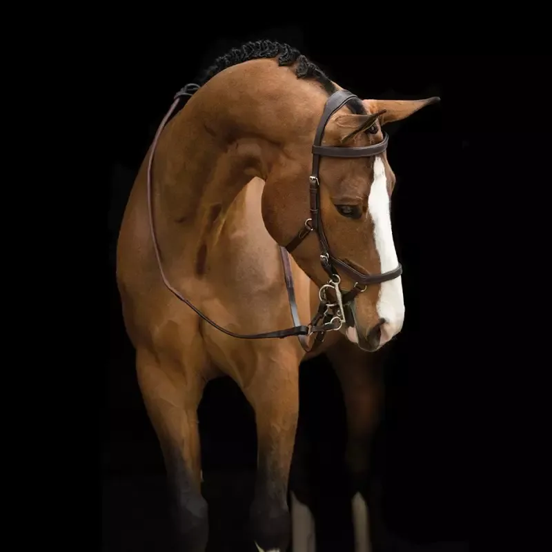 Bridon anatomique original Rambo Comptition Micklem - Cheval - Noir Expdi Aujourdhui