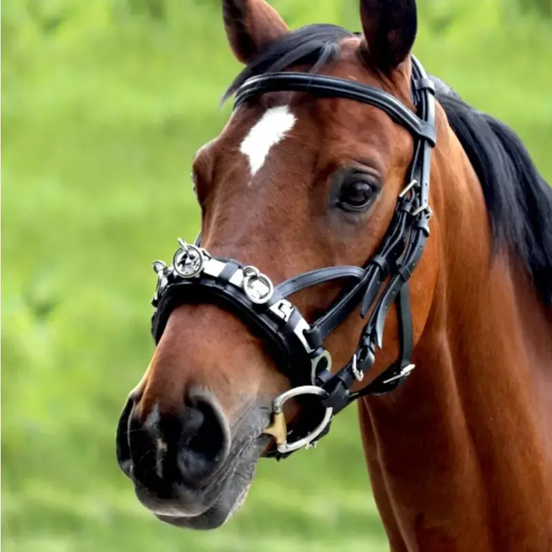 Achat Immdiat Caveon cheval en cuir Wembley Waldhausen – Cheval – Noir