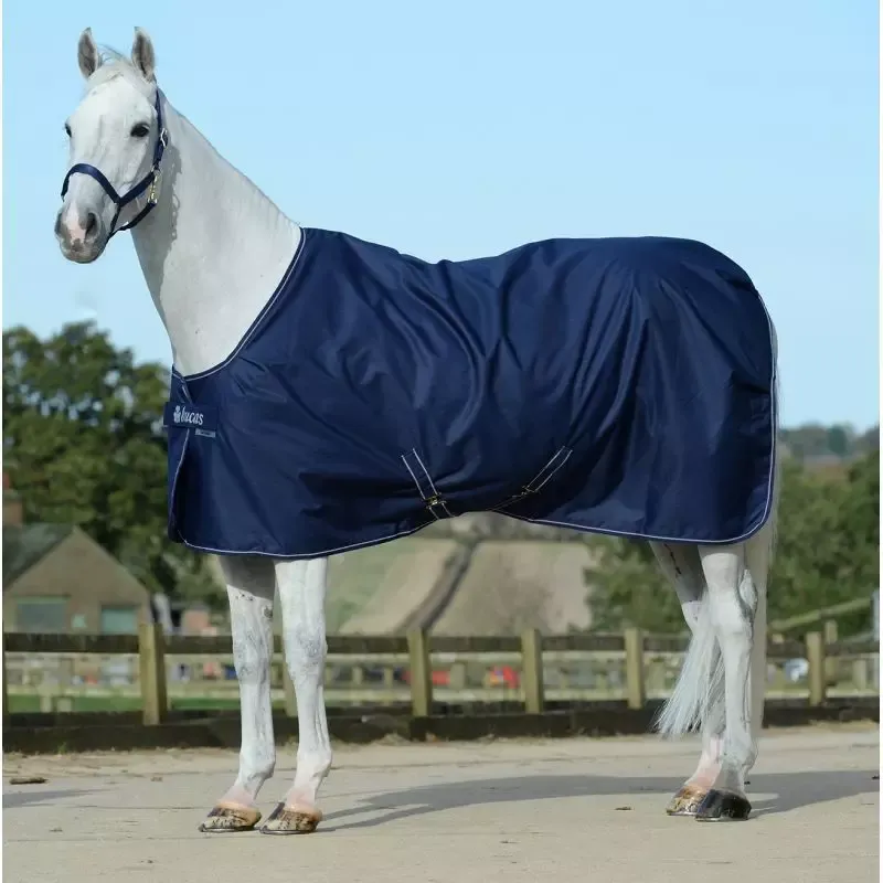 Satisfait Ou Rembours Couverture curie cheval light 50g Irish Bucas - 135 cm - Marine