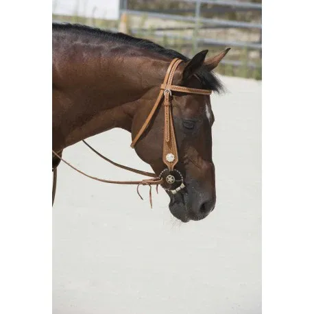 Cabezada WESTRIDE de – Aurora – Franck Perret Promotion