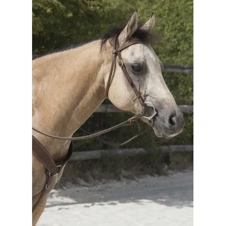 Cabezada WESTRIDE de – Colorado – Franck Perret Prix Cass