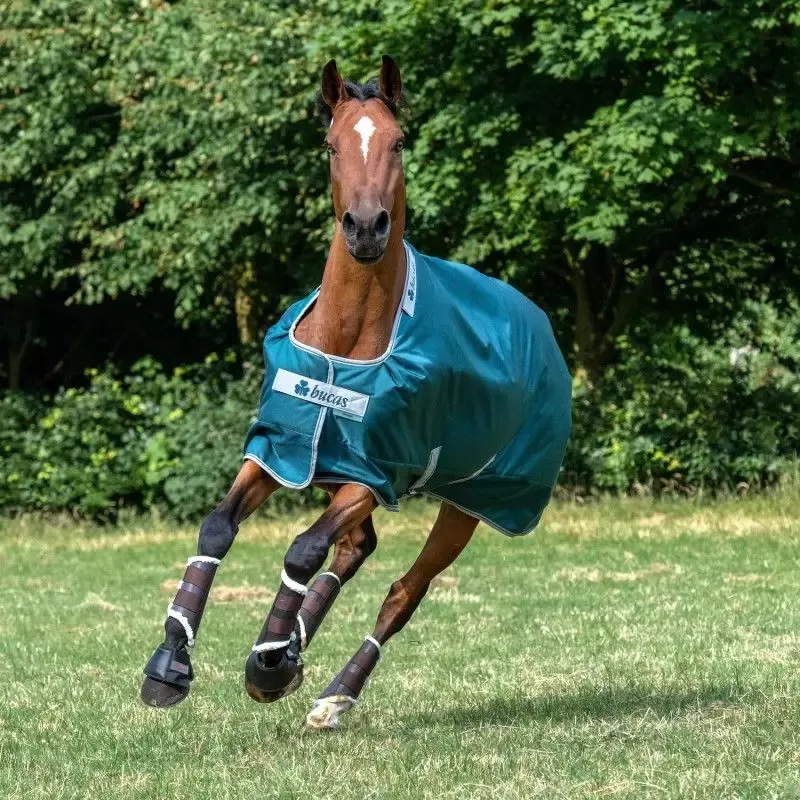 Pas Cher Couverture cheval Pr Bucas Atlantic 400g - 125 cm - Vert