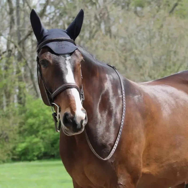 Bonnet Anti-Stress Cheval Fenwick Technologie Titane Liquid – Grand cheval – Trait – Noir Remise