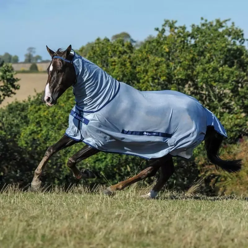 Nouvel Arrivage Chemise anti-mouches poney Buzz Off avec couvre-cou Bucas - 115 cm - Gris