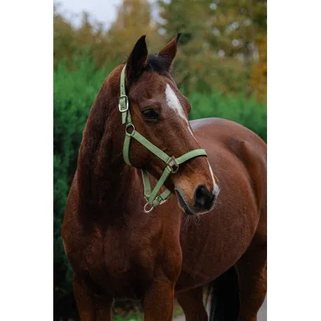Cabestro de Nylon – Spring – Equitheme Must-Have