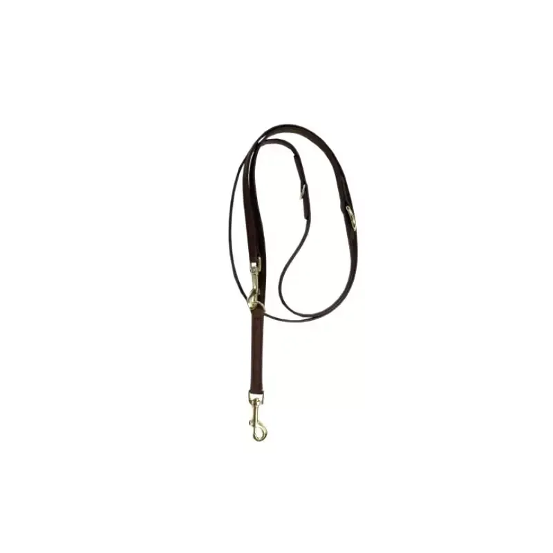 Laisse pour chien Velvet Kentucky Dogwear 2m – Brun Petit Prix