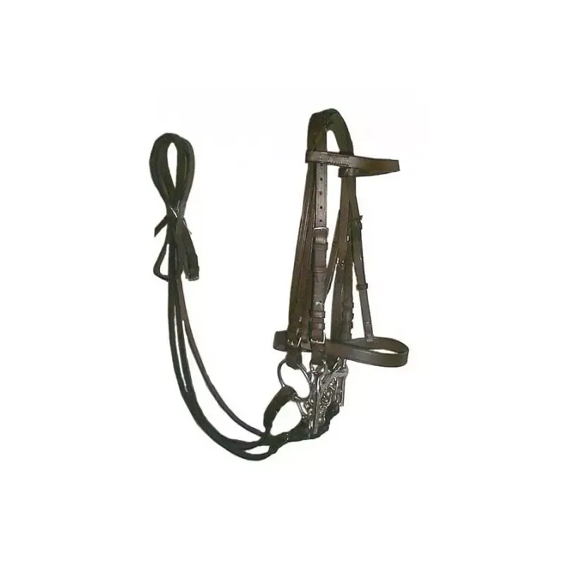 Bride Cavalhorse quatre rnes cuir huil cheval – Cheval – Havane Top Vente