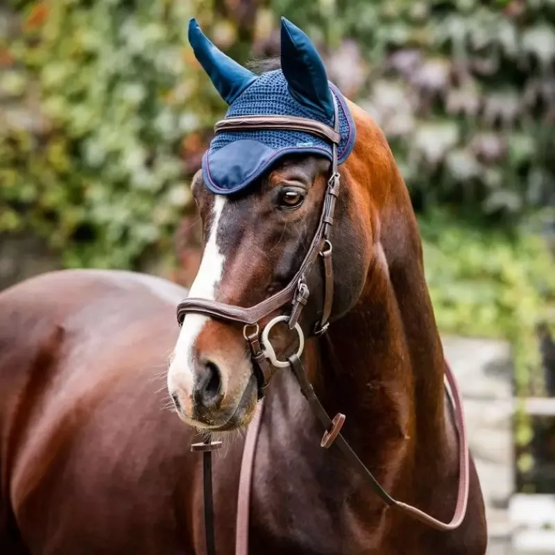 Bonnet cheval coton Rambo Grand Prix Horseware - Cheval - Noir Populaire