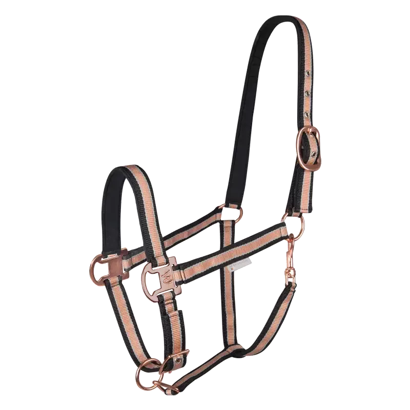 Licol cheval Waldhausen ros shine - Cob/pur-sang - Noir Soldes