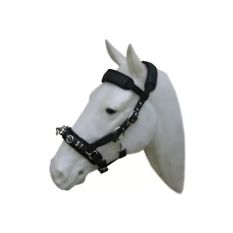 Caveon cheval Cavalhorse matelass en noprne - Cheval - Noir Livraison Gratuite