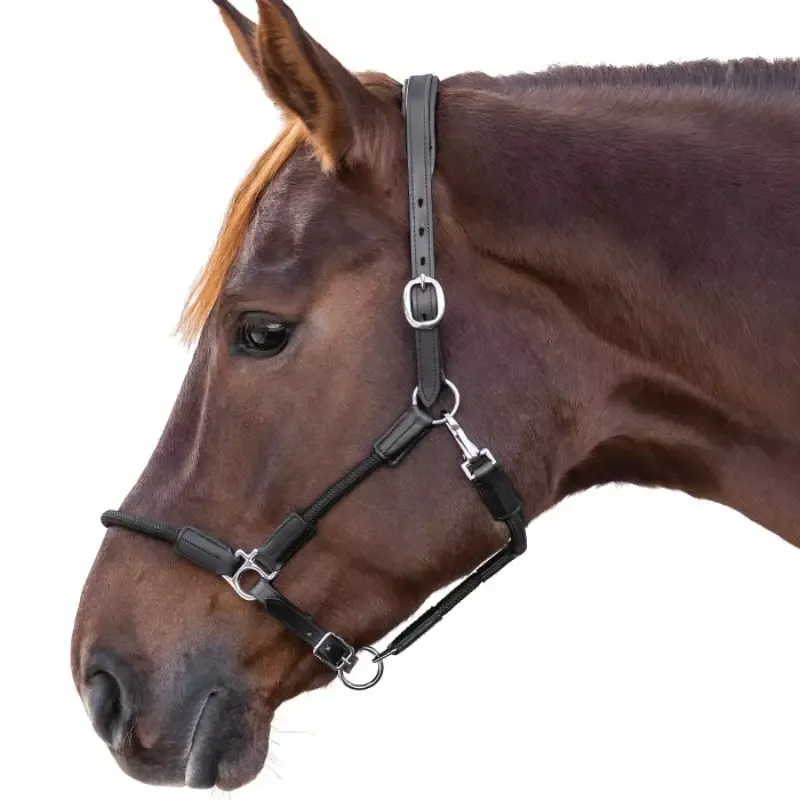 Offre Exclusive Licol cheval Waldhausen cuir corde Nevada - Cheval - Noir/argent