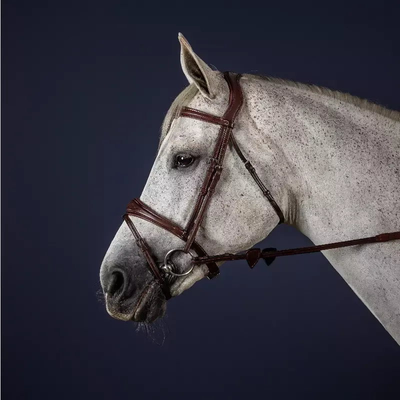 Bridon Dy&rsquo;on cheval muserolle combine anatomique New English Collection – Cob/pur-sang – Noisette Promotion