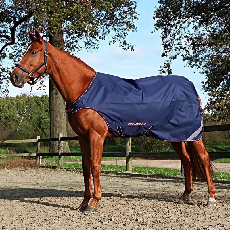 Walker Rug Therapy – Couverture marcheur cheval – Bucas – S-120-130 – Marine/orange Offre Spciale