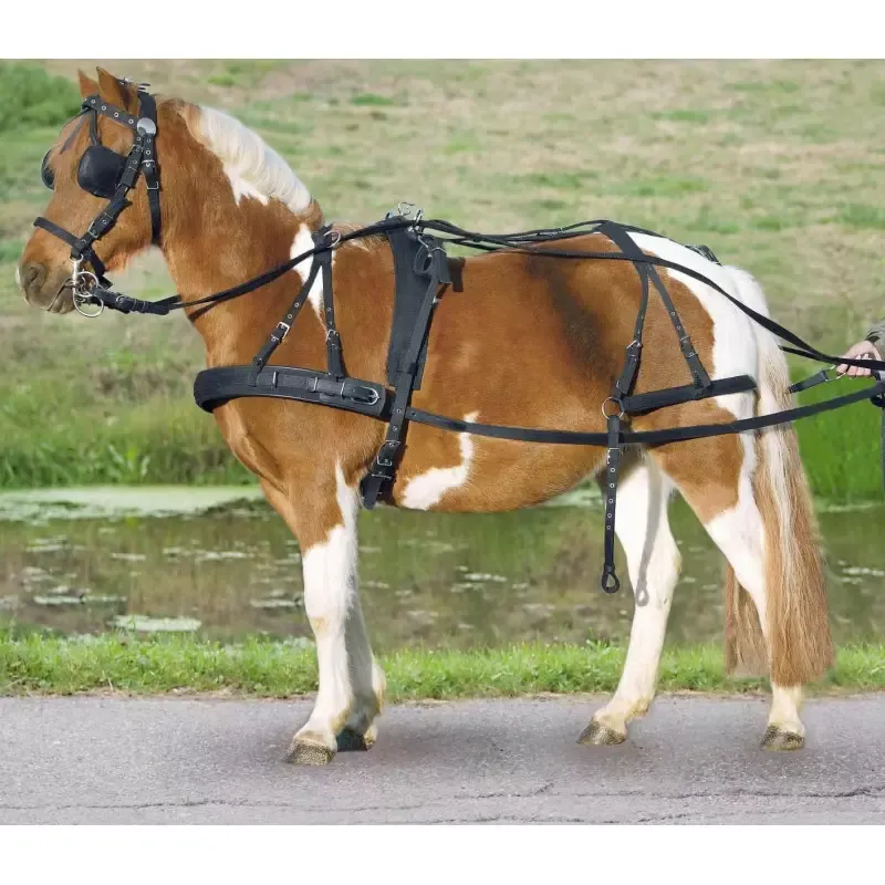 Harnais bricole Waldhausen Simple Star cheval nylon - Shetland - Noir Dernier Modle