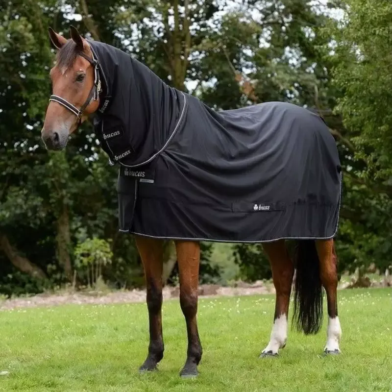 Chemise cheval schante Bucas Shamrock Power – 130 cm – Noir Quantit Limite