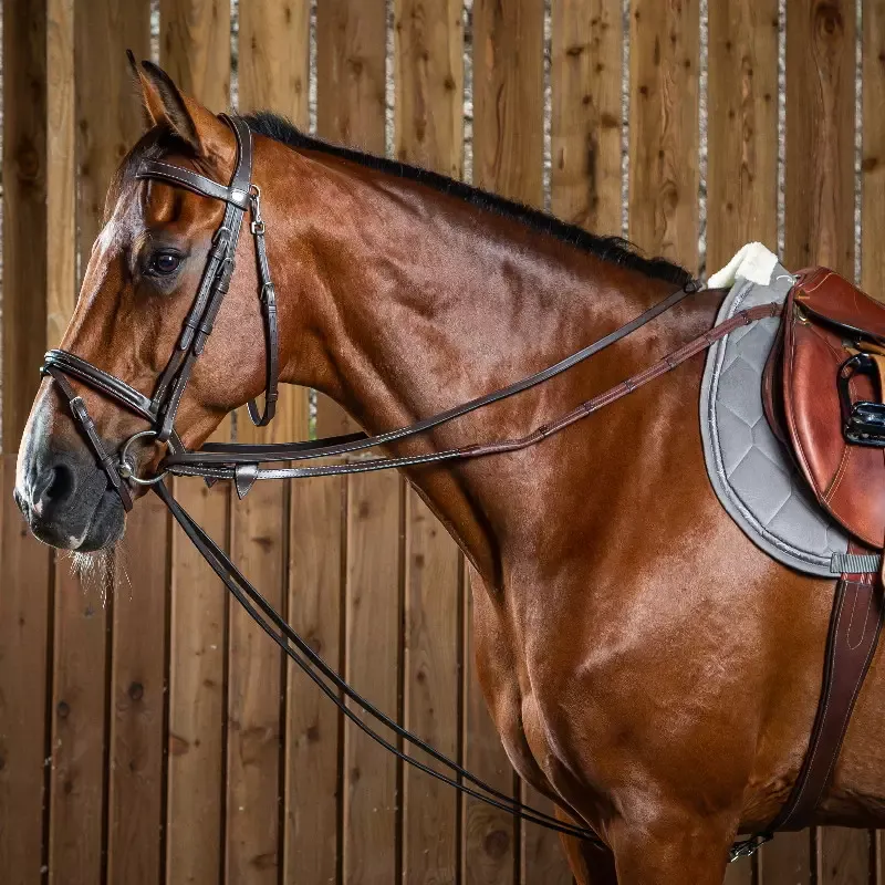 Affaire  Saisir Rnes allemandes cheval Working by Dy&rsquo;on tout cuir – Cob/pur-sang – Noisette