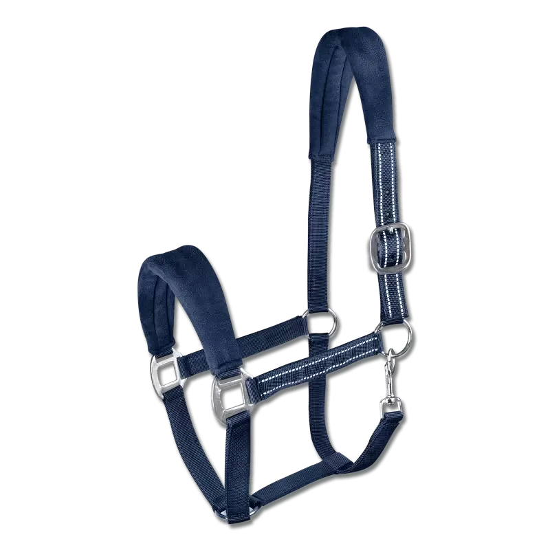 Expdi Aujourdhui Licol alcantara Waldhausen cheval - Poney - Bleu nuit