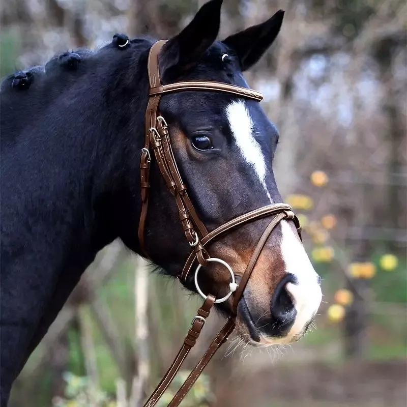 Livraison Gratuite Bridon cheval cuir muserolle combine X-Line Santander - Cheval - Nougat