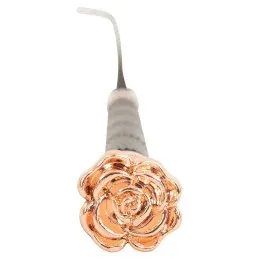 Vente Directe STICK DRESSAGE FLOWER 110 PREMIERE