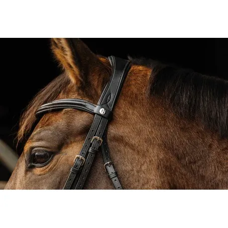 Acheter Direct Brida PRO – Basal – Norton