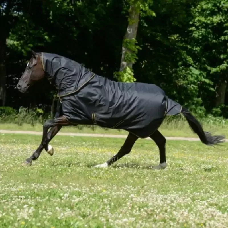 Meilleure Vente Couverture de pr cheval Irish Turnout Light Bucas 50g avec couvre-cou - 165 cm - Noir