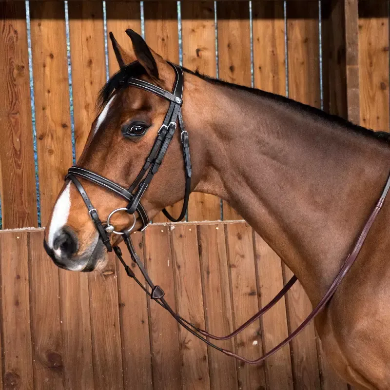 Bridon cheval muserolle combine classique Working By Dy&rsquo;on – Cheval – Noir Haute Qualit