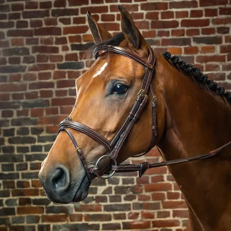 Bridon Dy&rsquo;on cheval muserolle combine D Collection – Poney – Noisette Prix Bas
