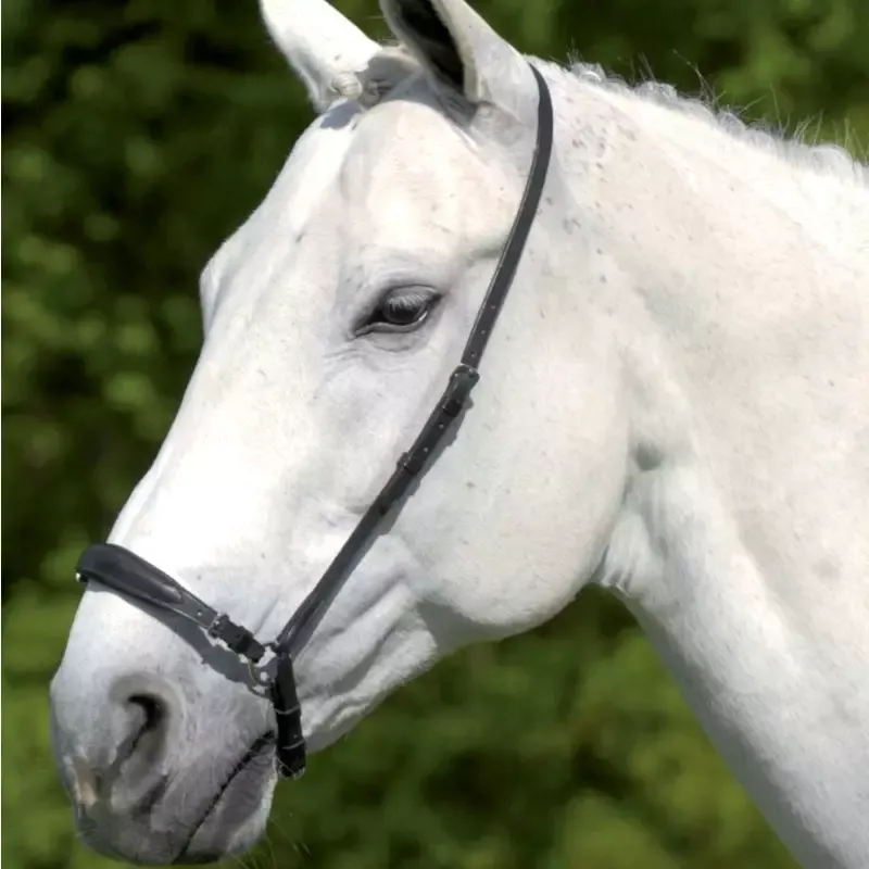Muserolle allemande S-line cheval rglable - Cheval - Noir Prix Choc