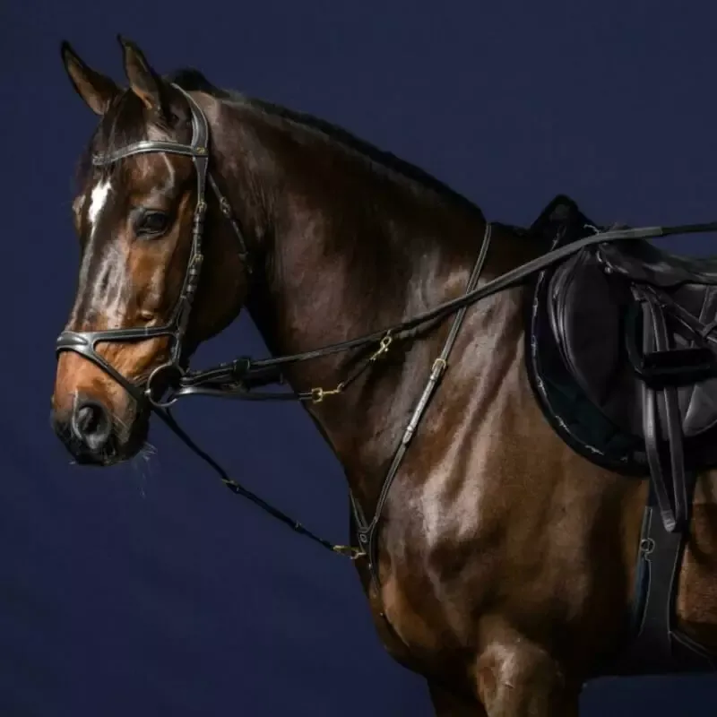 Fourchette Howlett Dy'on D Collection cheval - FULL - Noir Certifi