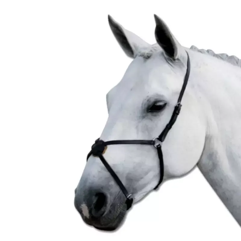 Muserolle cheval croise cuir Waldhausen - Cheval - Noir Achat Immdiat