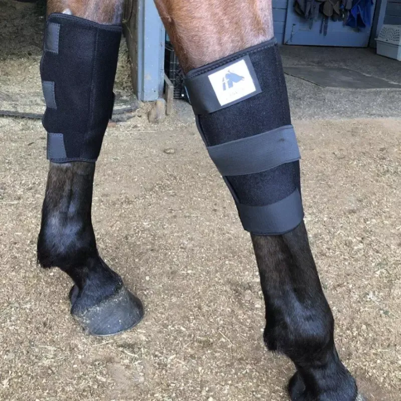 Expdi Aujourdhui Protge-genoux cheval Fenwick Titane Liquide – M – Noir
