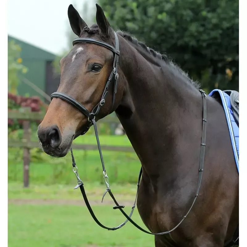 Bridon Bitless Harry&rsquo;s Horse cheval en cuir sans mors – Cob/pur-sang – Noir Commander Vite