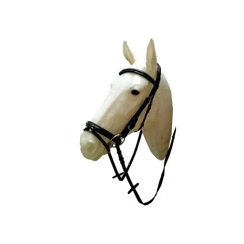 Prix Choc Bridon cheval Cavalhorse muserolle combine cuir laqu - Cheval - Noir