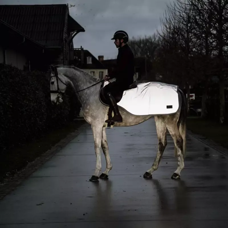 Expdi Aujourdhui Couvre-reins Kentucky Reflective cheval - M