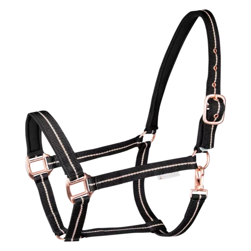 Licol Ros Waldhausen nylon cheval - Poney - Bleu nuit Livraison Express