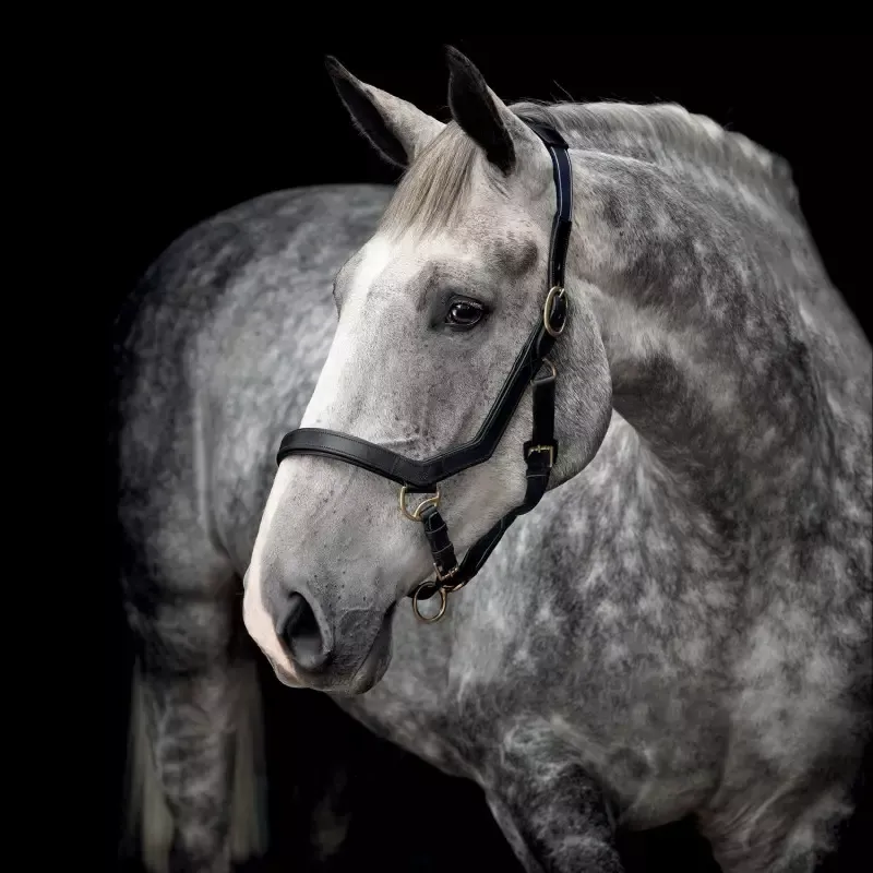 Licol cheval Micklem Horseware en cuir - Cheval - Brun Livraison Gratuite