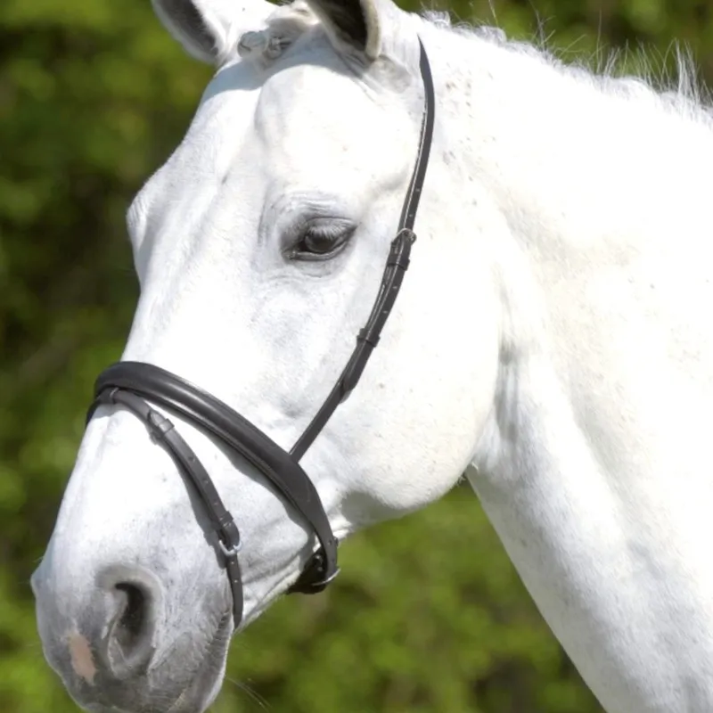 Muserolle combine cheval X-Line Waldhausen - Cob / Pur-sang - Noir Paiement Scuris