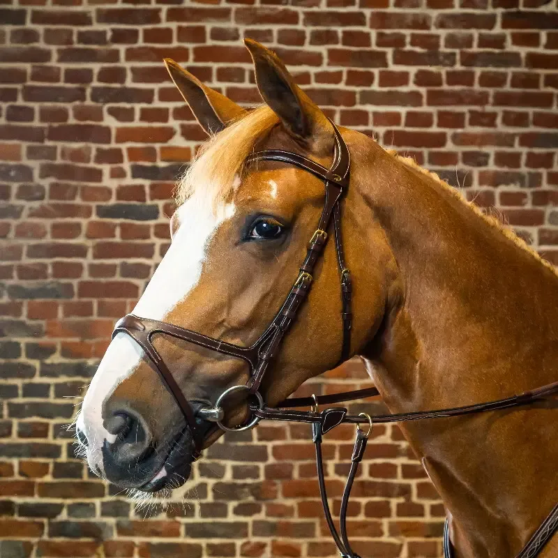 Bridon Dy&rsquo;on cheval X-Fit D Collection – Cob/pur-sang – Noisette Retour Gratuit