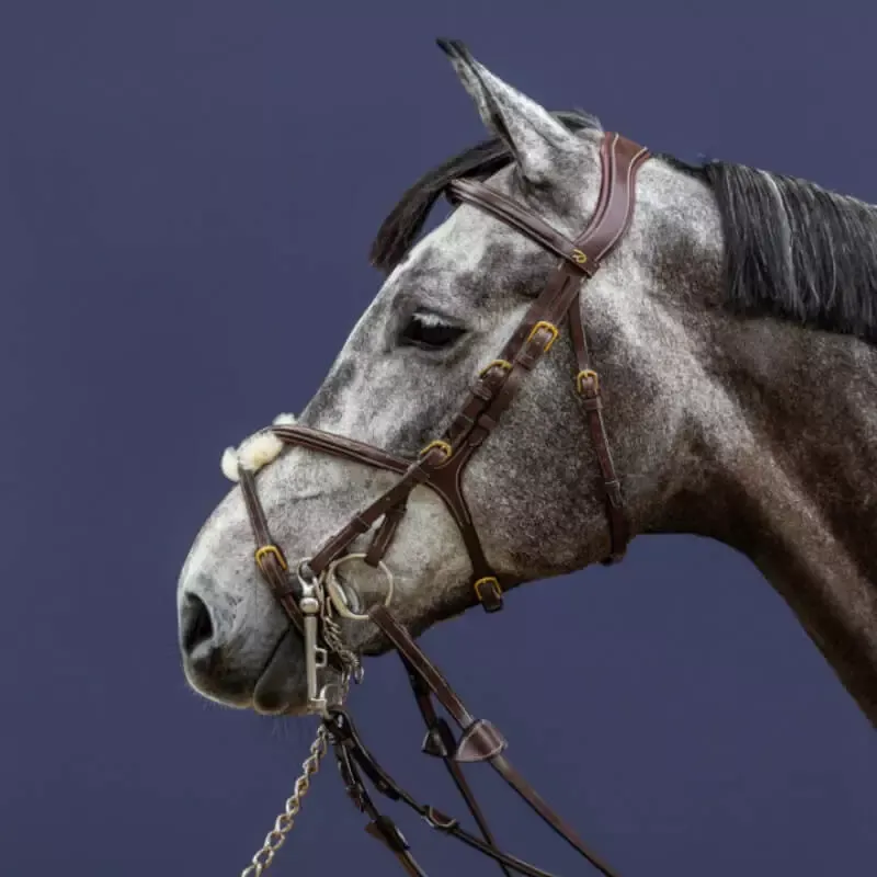 Marque Doubles montants bridon Dy'on D Collection cheval - FULL - Noir