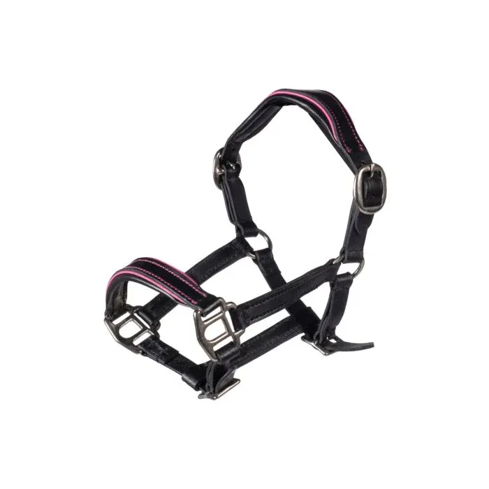 Cabezada de cuero Manchester -Hobby Horsing- HKM - negro/fucsia / nica Retour Gratuit