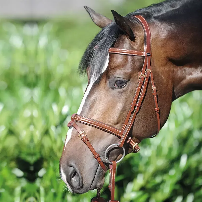 Prix Promo Bridon cheval Kavalkade Lorenz cuir muserolle croise – Cheval – Brun