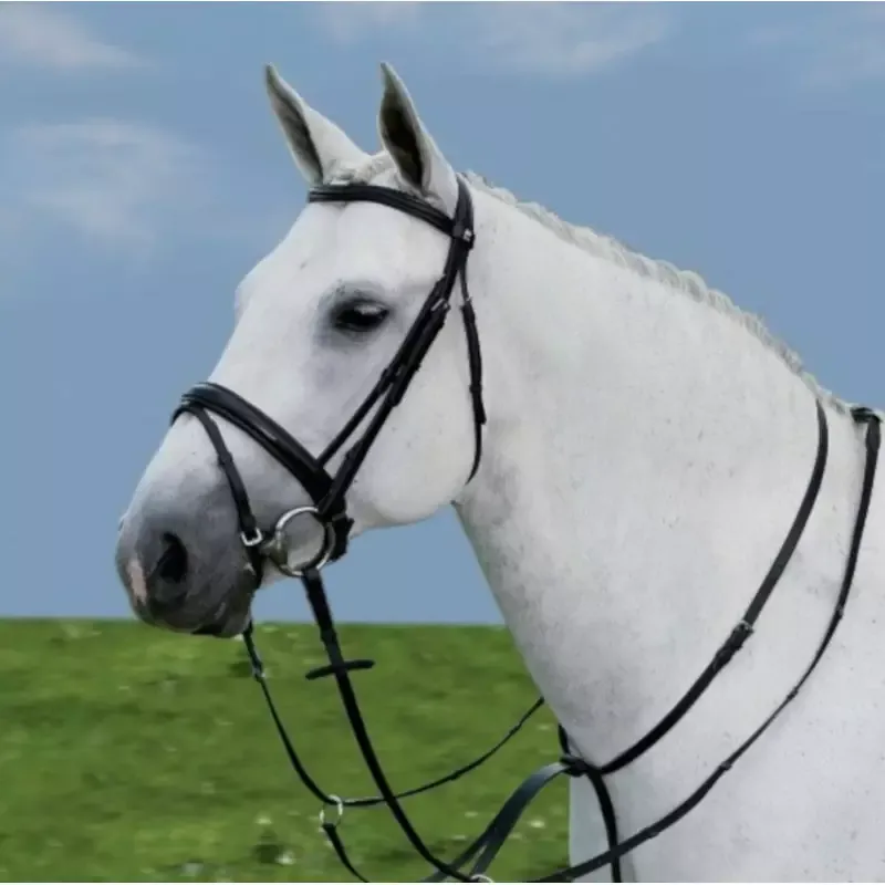 Commande En Gros Martingale anneaux Waldhausen cheval - Cheval - Noir
