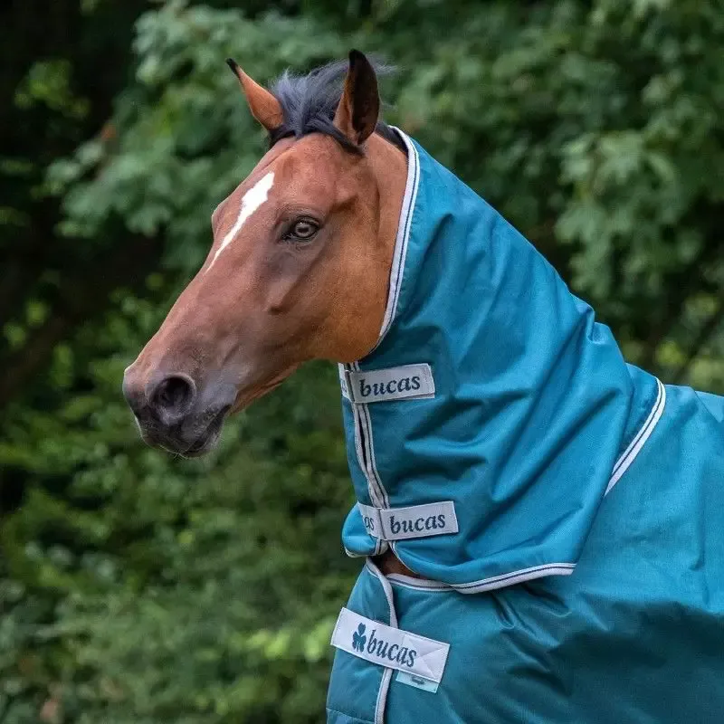 Livraison Express Couvre Cou Cheval Atlantic 300g Bucas - L- 145 - Vert