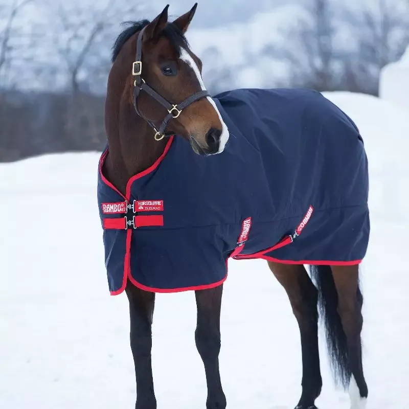 Acheter Direct Couverture Horseware Rambo Original Turnout Med 200g cheval – 145 cm – Marine/Rouge BR00