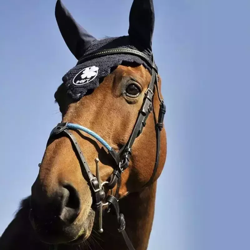 Muserolle cheval combine corde enrobe Evolution IHWT - Cob/pur-sang - Bogue-chataigne Meilleure Vente