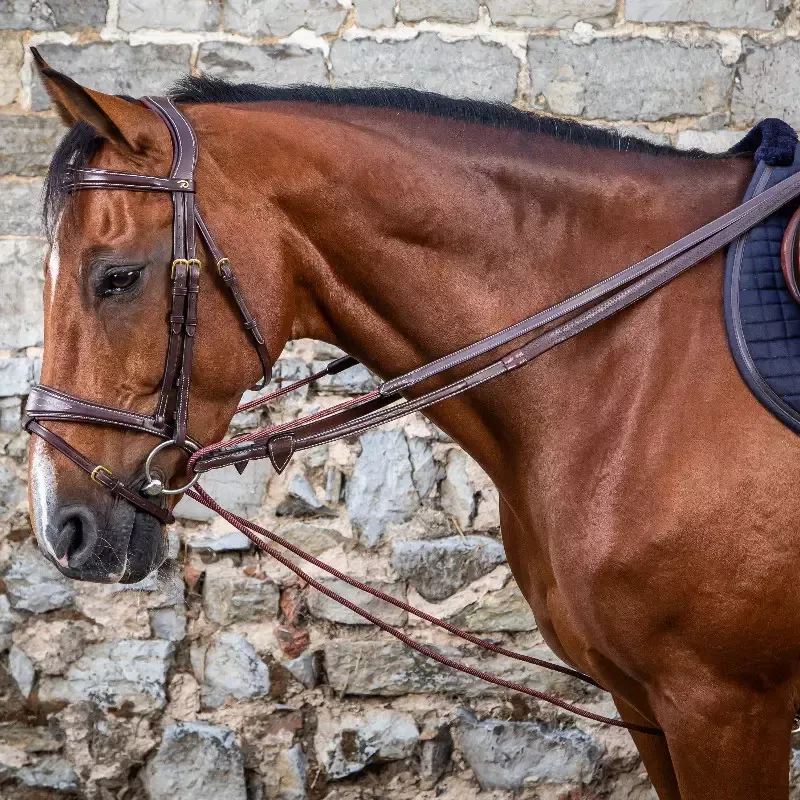 Rnes allemandes Dy'on D Collection cheval cuir et nylon - Cob/pur-sang - Noisette Top Vente