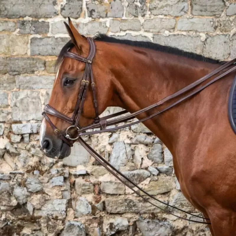 Offre Du Jour Rnes allemandes tout cuir 1/2 Dy'on D Collection cheval - Cob/pur-sang - Noisette